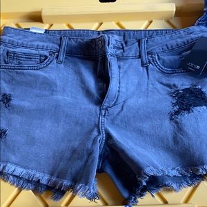 Black joe jeans shorts